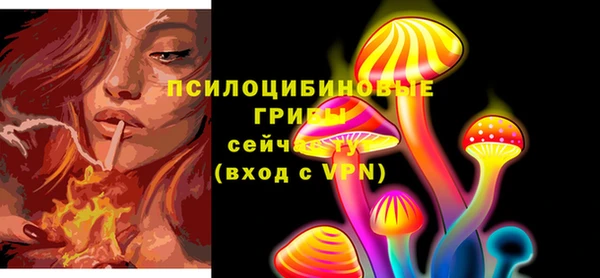 амф Арсеньев