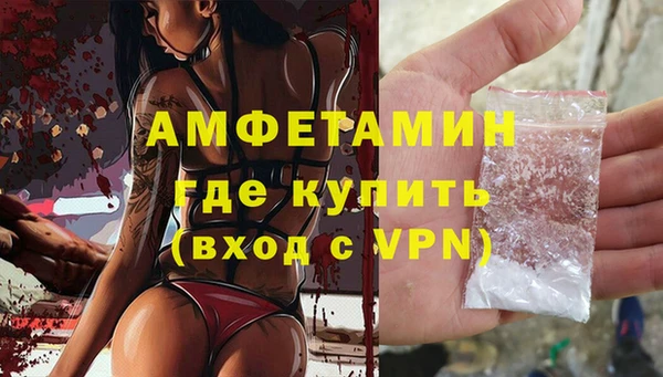 трава Аркадак