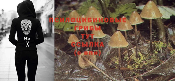 трава Аркадак
