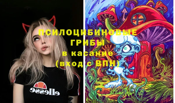 трава Аркадак