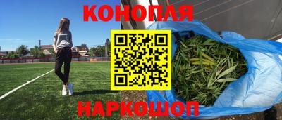 прущие крисы Новозыбков