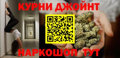 прущие крисы Новозыбков
