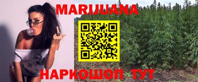 прущие крисы Новозыбков