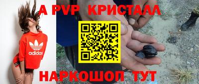молекула духа Майкоп