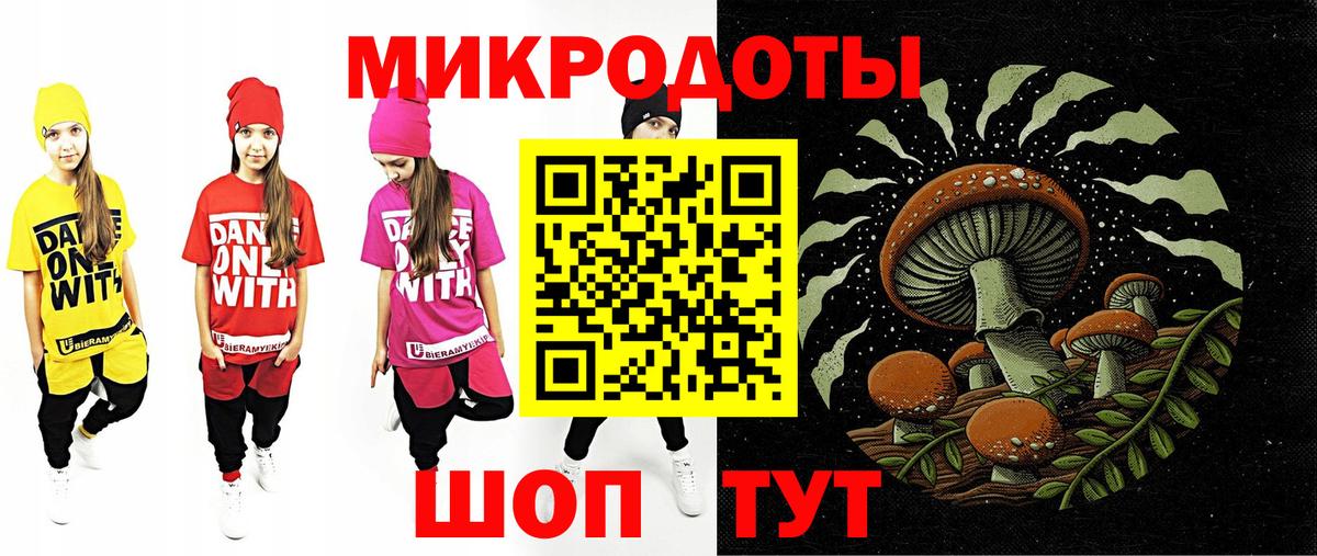 Псилоцибиновые грибы Psilocybe Сибай